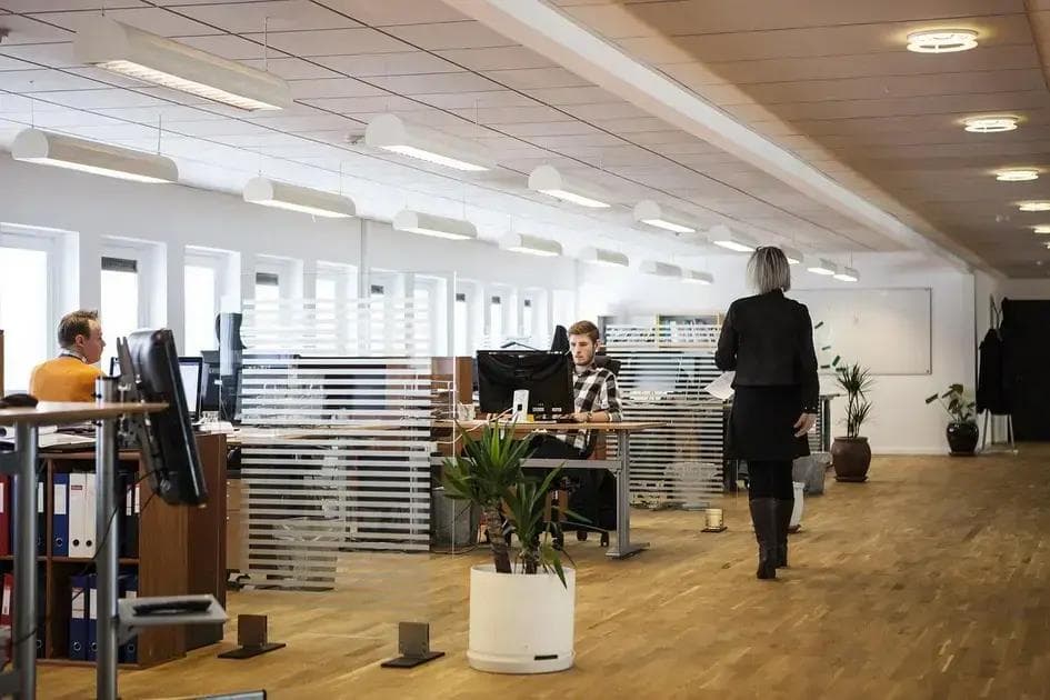 Endereço fiscal para licitação: requisitos e vantagens